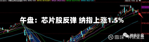 午盘：芯片股反弹 纳指上涨1.5%